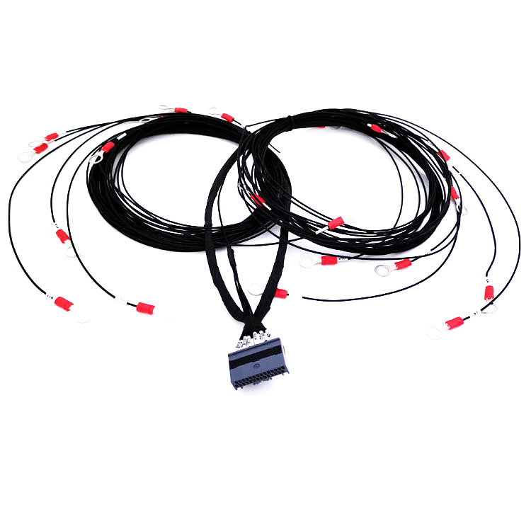 紫宸-20节电压采集线束（1-4#）